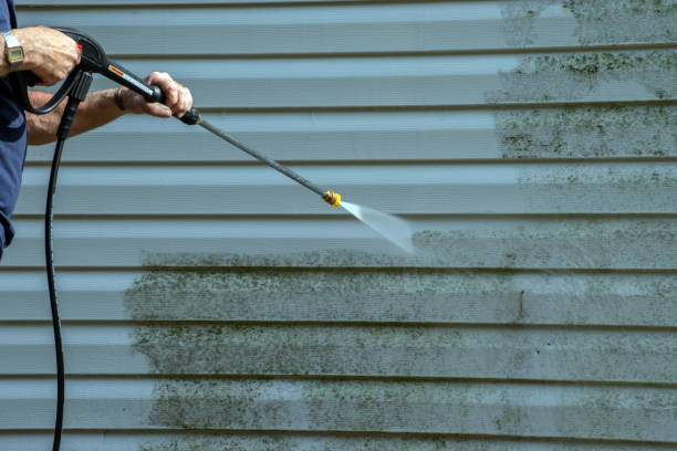 Best Garage Pressure Washing  in Lonaconing, MD