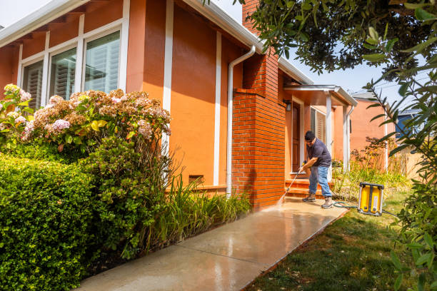 Best Exterior Home Cleaning  in Lonaconing, MD