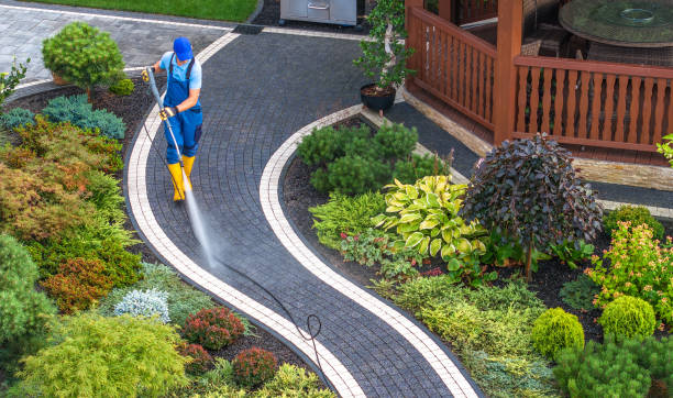 Best Roof Pressure Washing  in Lonaconing, MD